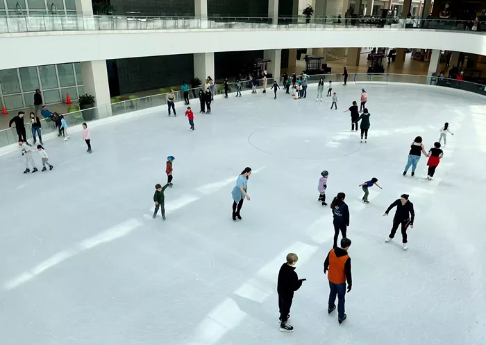 Should Portland Try to Save Lloyd Center Mall?